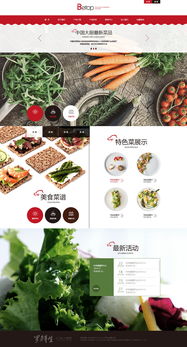 天津網(wǎng)站制作 奔唐網(wǎng)絡(luò)之綠色養(yǎng)生食品官網(wǎng)